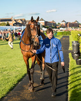 Pretemps Stratford Foxhunters  (14 of 194).jpg
