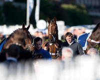 Pretemps Stratford Foxhunters  (16 of 194).jpg