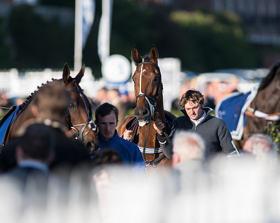 Pretemps Stratford Foxhunters  (16 of 194).jpg