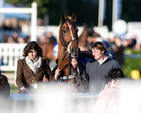 Pretemps Stratford Foxhunters  (17 of 194).jpg