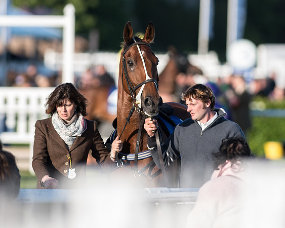 Pretemps Stratford Foxhunters  (17 of 194).jpg