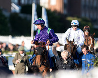 Pretemps Stratford Foxhunters  (18 of 194).jpg