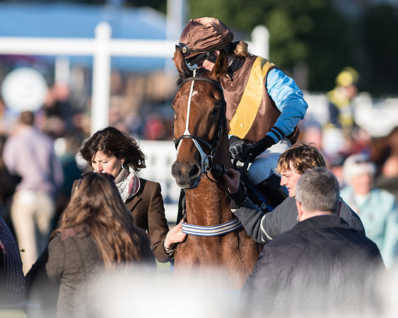 Pretemps Stratford Foxhunters  (21 of 194).jpg