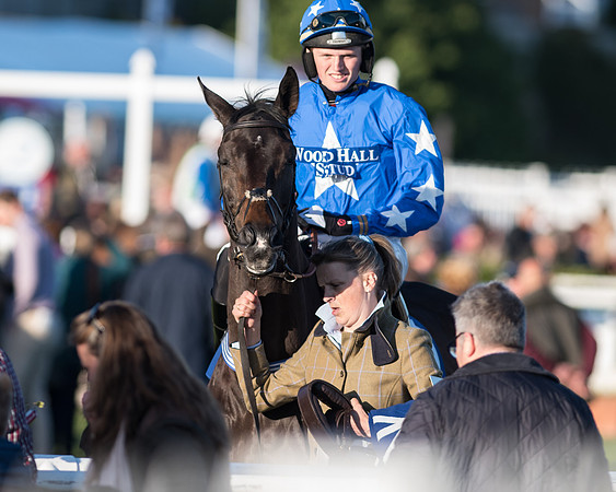 Pretemps Stratford Foxhunters  (23 of 194).jpg