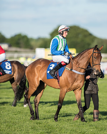 Pretemps Stratford Foxhunters  (25 of 194).jpg