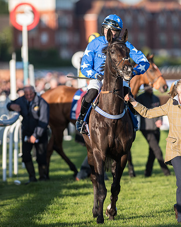 Pretemps Stratford Foxhunters  (37 of 194).jpg