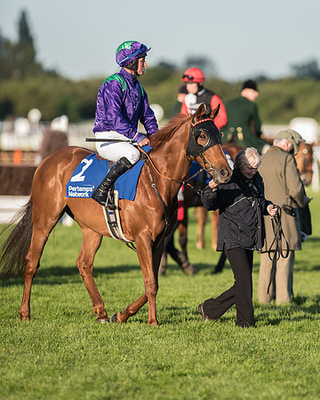 Pretemps Stratford Foxhunters  (39 of 194).jpg