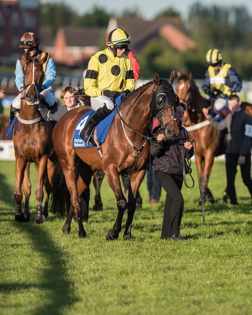 Pretemps Stratford Foxhunters  (40 of 194).jpg