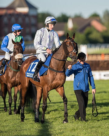 Pretemps Stratford Foxhunters  (54 of 194).jpg
