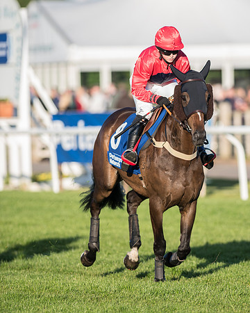 Pretemps Stratford Foxhunters  (65 of 194).jpg
