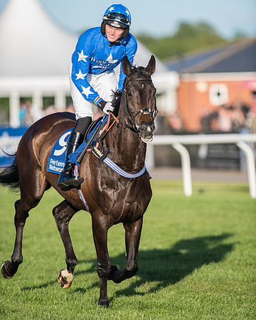 Pretemps Stratford Foxhunters  (66 of 194).jpg