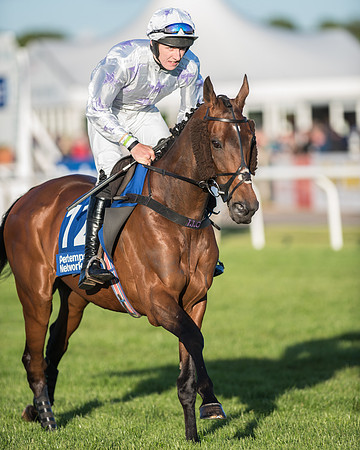 Pretemps Stratford Foxhunters  (77 of 194).jpg