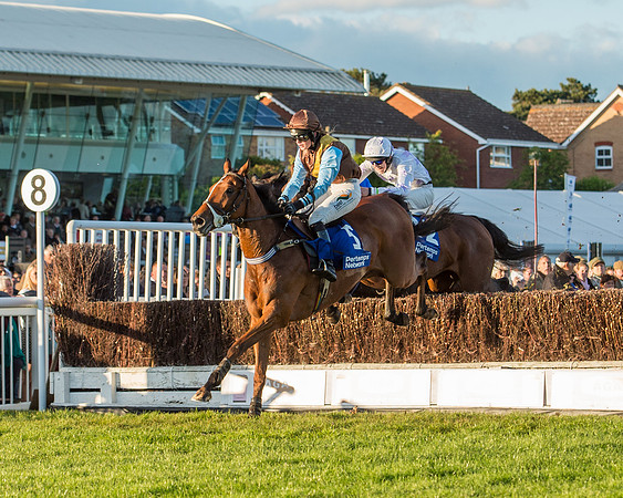 Pretemps Stratford Foxhunters  (95 of 194)-2.jpg