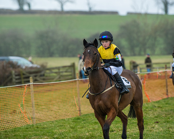 Pony Race 3 (5 of 67)