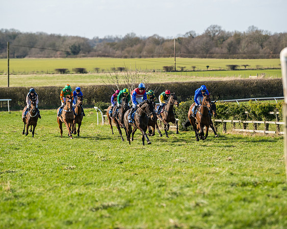 Race 1 - Open Maiden Division 1 (82 of 170)