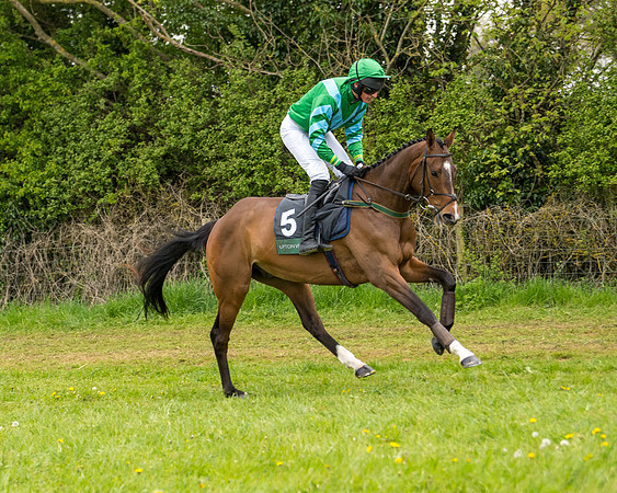Race 7 - Open Maiden  (15 of 106)