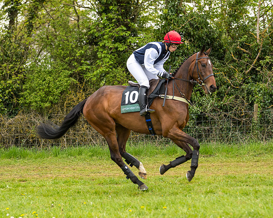 Race 7 - Open Maiden  (10 of 106)