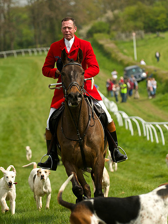 Ponies and Hounds 15