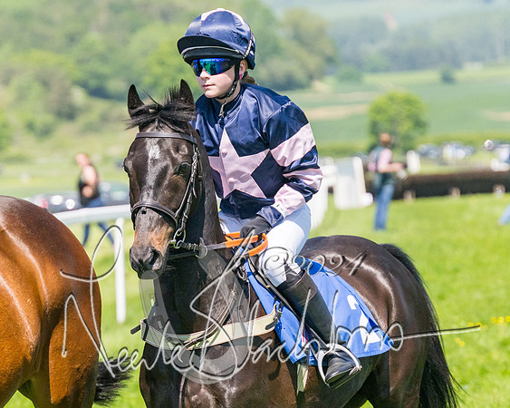 Pony Races  (32 of 141)