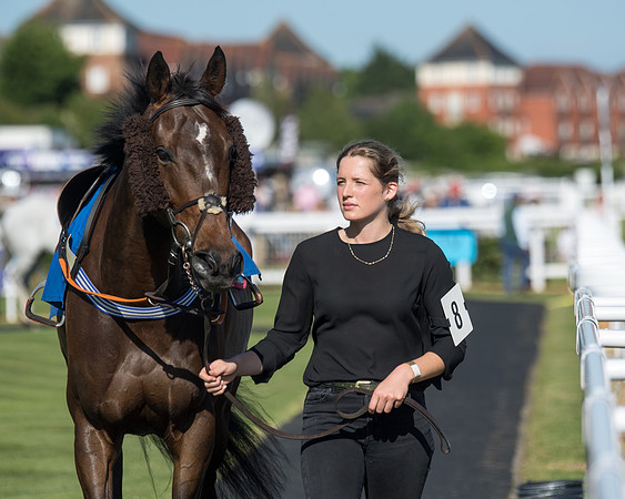 Race 1 - PPSA Open Hunter chase (17 of 78)
