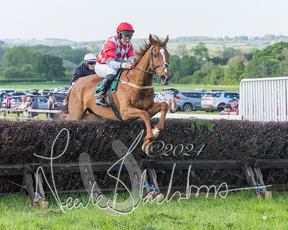 Race 7 - Veteran Horse (90 of 246)