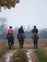 Dolly and Whizz 126