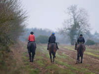 Dolly and Whizz 127