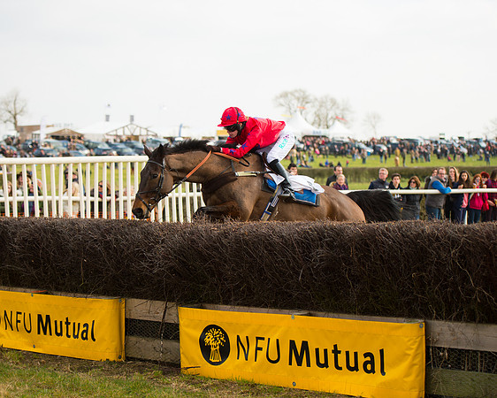 Race 2 - COnfined Hunts race (115 of 144).jpg