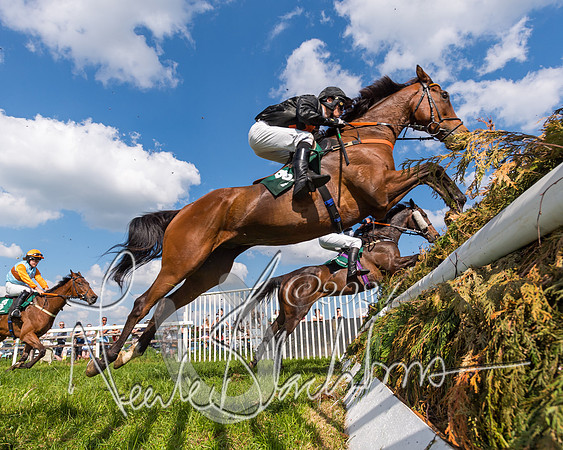 Race 4 - PPORA Novice Riders Final  (224 of 362)