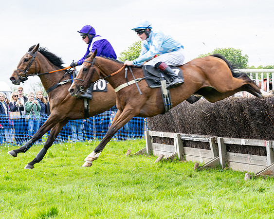 Race 2 - Veteran Horse (52 of 80)