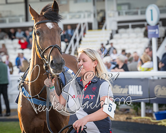 Race 5 - tipsterreviews.co.uk handicap (3 of 107)