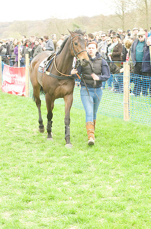 Race 4 - Nov-vets 7