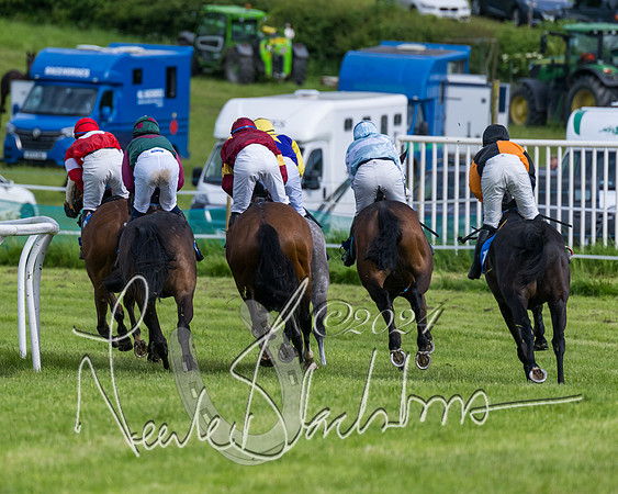 Race 5 - Restricted Race (233 of 434)