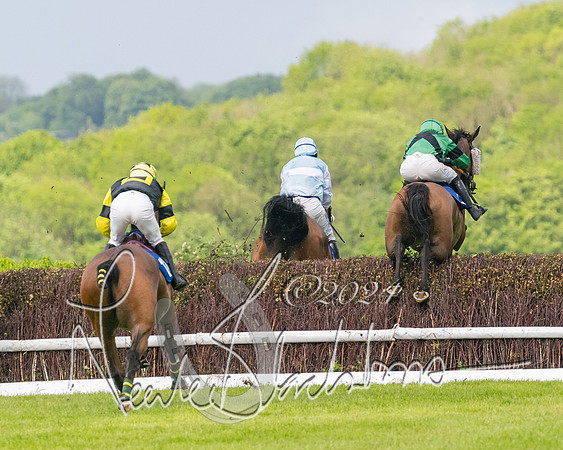 Race 4 - Mixed Open (226 of 591)