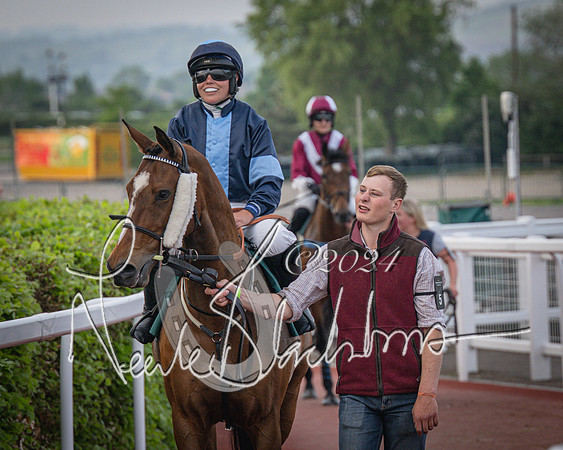 Race 5 - Mares Open Hunter Steeplechase 3m2f 70y (36 of 269)