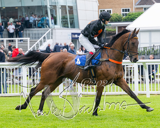 Race 2 - Ladies Open Final (22 of 94)