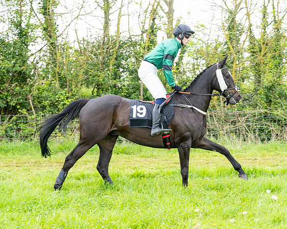 Race 2 - 2M4F Conditions (30 of 195)