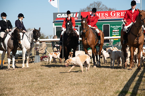 Hunt Horses annd Hound parade (11 of 44)