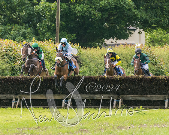 Race 4 - Mixed Open (177 of 591)