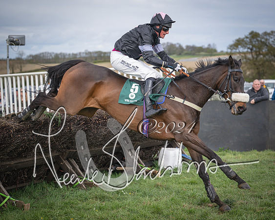 Race 3 - 5 years old and Over Maiden Race (84 of 130)