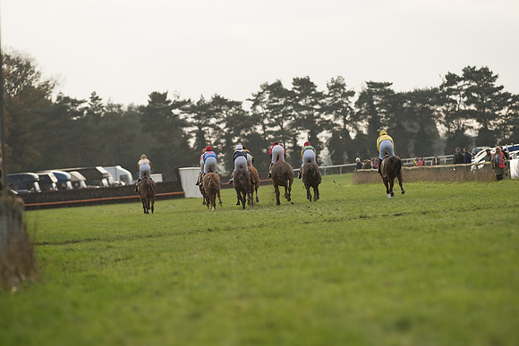 Race 5 - Open Maiden 51