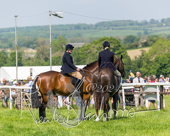 Race 2 - The Maiden  (7 of 442)