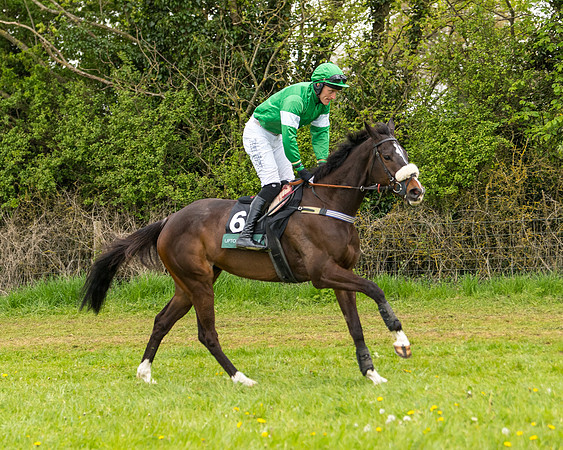 Race 7 - Open Maiden  (2 of 106)