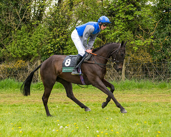 Race 7 - Open Maiden  (23 of 106)
