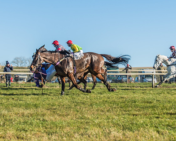 Race 1 - PPORA Novice Riders Race-30