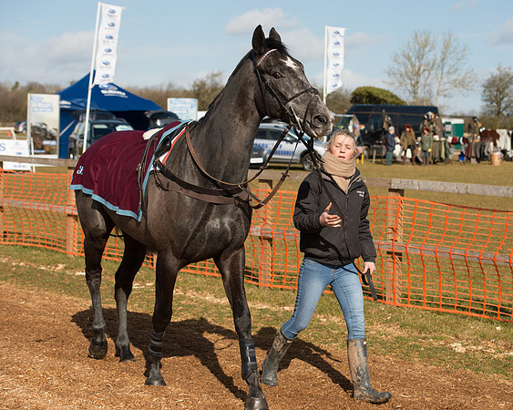 Race 1 - 4-5-6 Maiden (25 of 119).jpg