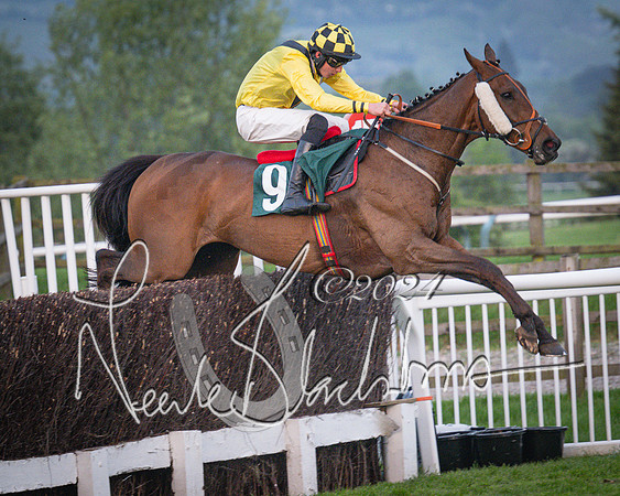 Race - 7 The Royal Gloucester Hussars Open Hunter's steeplechase 2m4f 127y (132 of 210)