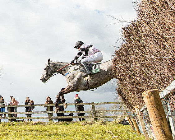 Race 5 - Restricted  (41 of 118)