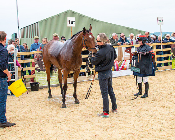 Race 2 - Jockey Club ROR veteran Horse (96 of 104)