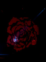 Beauty and the Beast 8